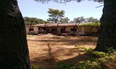 Corfu 490 84, ,Detached House,For Sale,1022